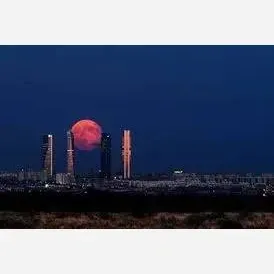 ژل لیفت ابرو و مژه شیگلم مدل دوکاره با ماندگاری بالا