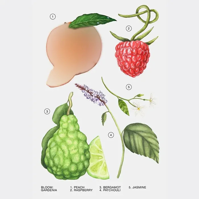 ادو پرفیوم زنانه زارا مدل GARDENIA حجم 90 میلیلیتر