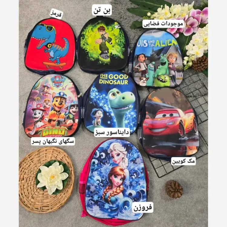 کوله پشتی دبستانی برزنتی دو زیپ طرح فانتزی پسرانه و دخترانه